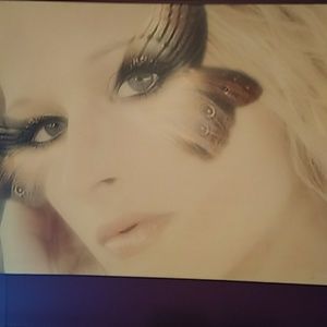 A beautiful picture on canves